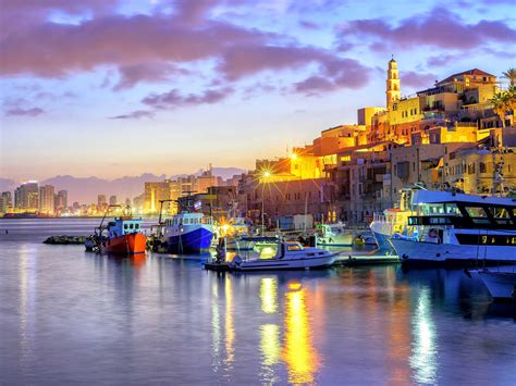 enigma tel aviv
